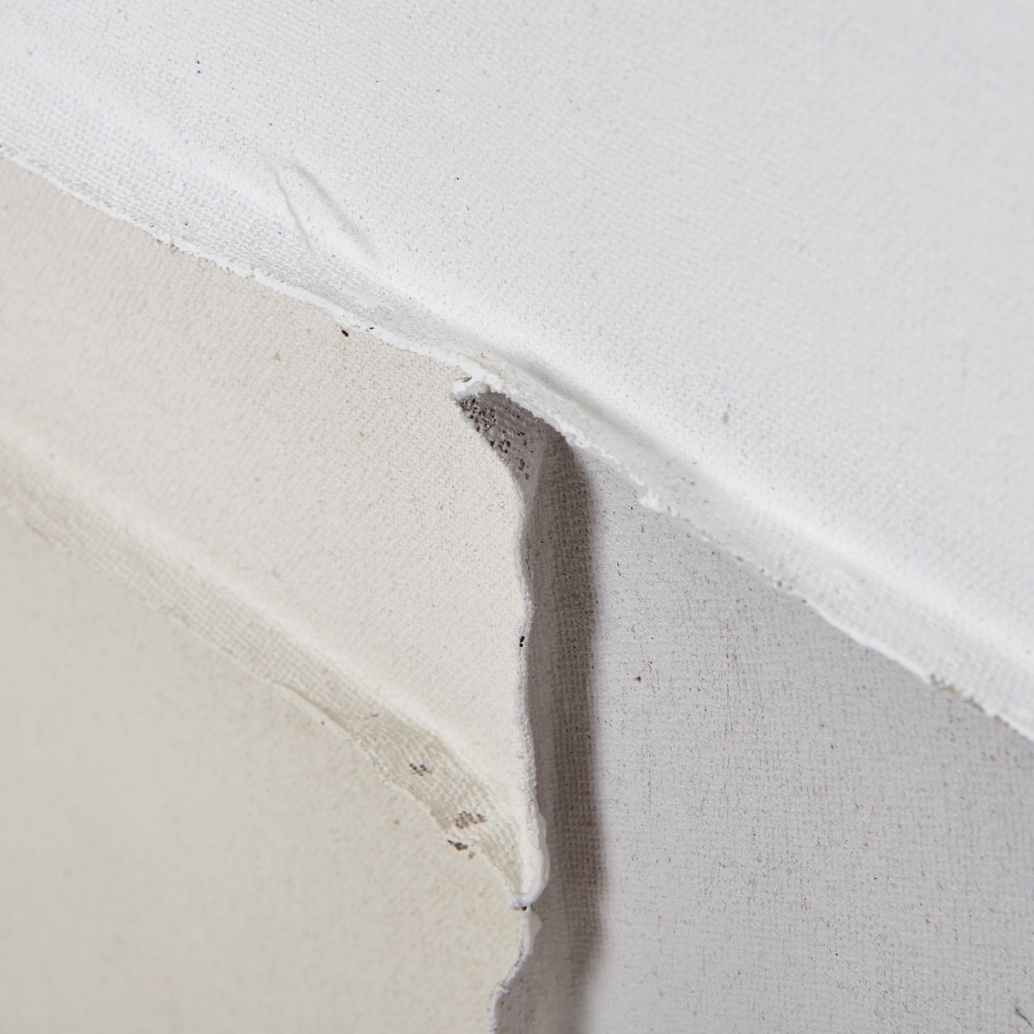 Alba Abstract Canvas Print