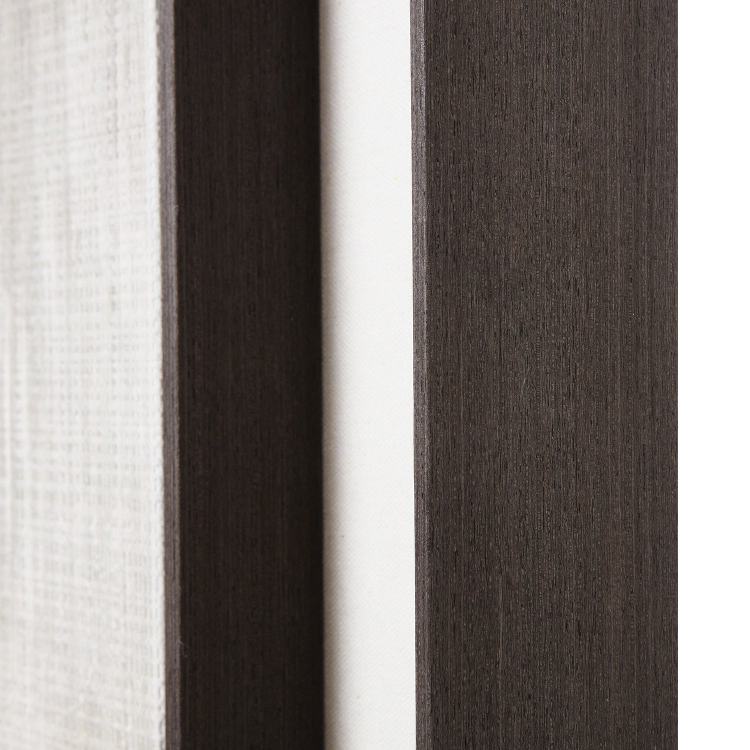 Noctura Canvas Print