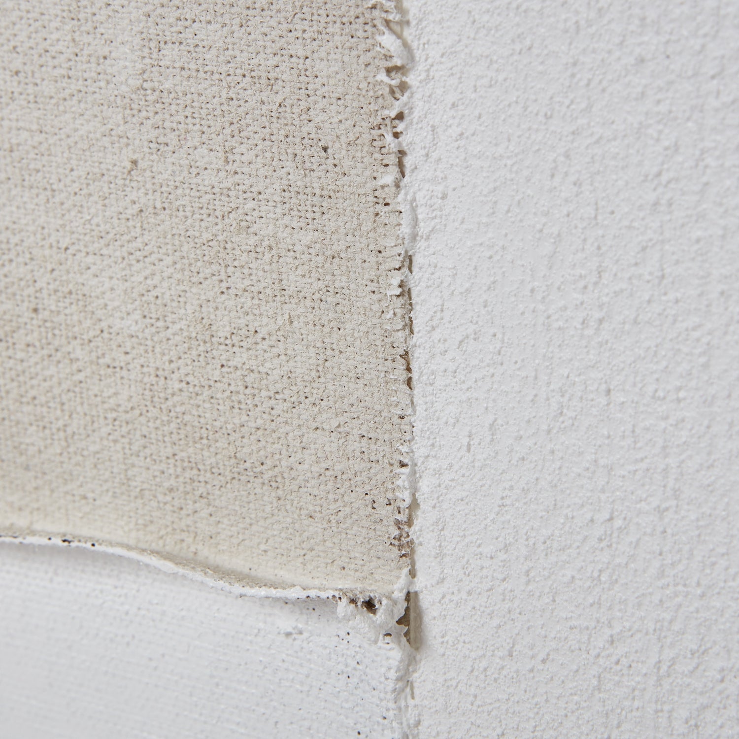 Alba Abstract Canvas Print