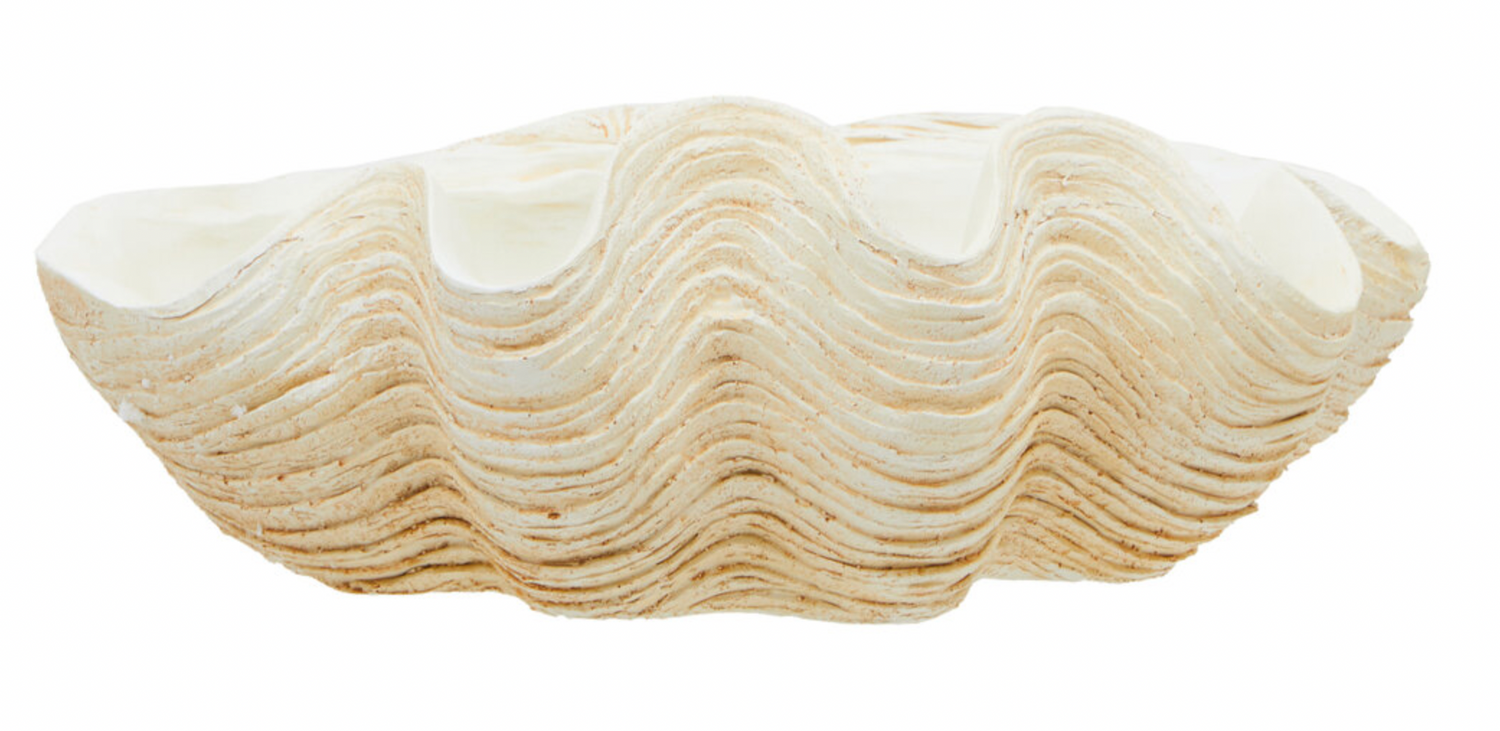 Large Clam Shell